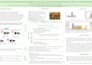 design presentations, posters, or visual documents